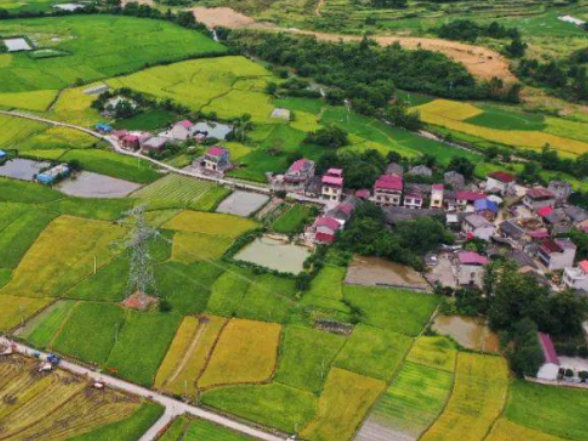 零陵:高标准良田绘就好“丰”景