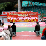 双牌县开展2025年文化科技卫生“三下乡”暨“移风易俗树新风”文明实践集中示范活动