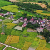 零陵：高标准良田绘就好“丰”景