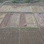 祁阳:油菜机械化翻耕现场观摩会 让丰收“油”保障
