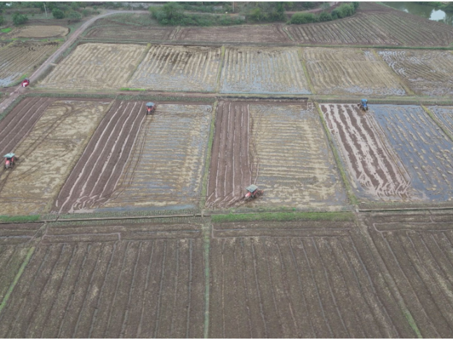 祁阳：油菜机械化翻耕现场观摩会 让丰收“油”保障