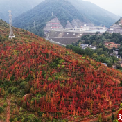 江华：千亩红枫映碧水