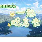 视频丨江华生态好不好？这些“好朋友”说了算