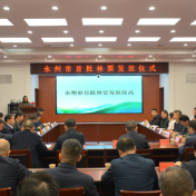 全省率先!永州正式发放首批“林票” 助力盘活资源赋能发展