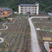 江华:特色玫瑰产业 绽放乡村振兴“致富花”