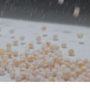 祁阳:赋能企业“走出去” 共拓合作新蓝海