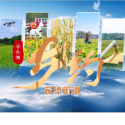 乡约·冷水滩丨花桥街镇