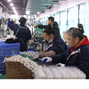 江华：锚定东盟拓市场 电机产业强发力