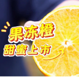 视频丨冷水滩:果冻橙甜蜜上市