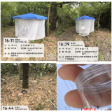 冷水滩:筑牢蚊媒防线 护航“湘超”