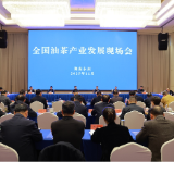 全国油茶产业发展现场会在永州召开
