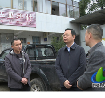 蓝山：龙向洋调研群众身边不正之风和腐败问题集中整治工作