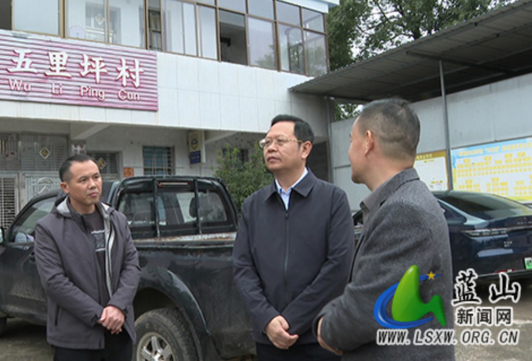 蓝山：龙向洋调研群众身边不正之风和腐败问题集中整治工作