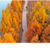 永州冷水滩:多彩冬日美如画(组图)