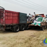 蓝山:猪粪变“金肥”循环农业促增收