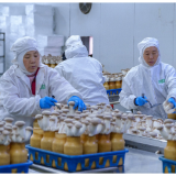 永州冷水滩菌菇出海扩市场