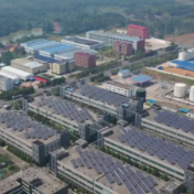 零陵：暖心服务送阳光雨露 精准滴灌育营商沃土