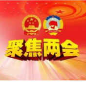 喜看城乡新面貌——永州市人大代表、政协委员开展集中视察