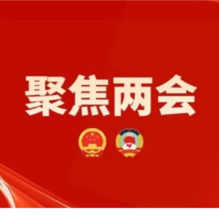 蒋强先参加双牌代表团讨论：切实把发展愿景变成美好实景