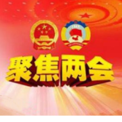 蒋强先参加宁远、双牌代表团讨论：凝聚广泛共识 汇聚奋进合力