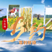 乡约·冷水滩丨普利桥镇