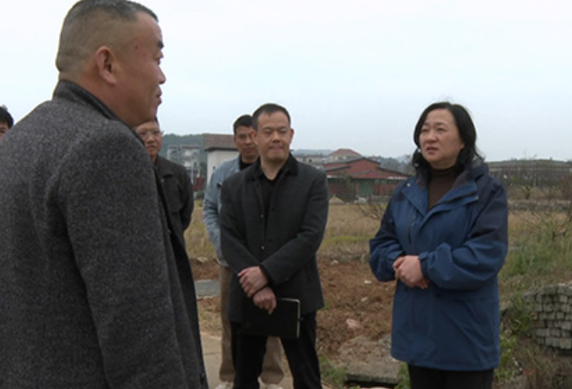 蓝山：邓群调研城乡供水一体化项目建设