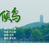 双牌县保护候鸟公益歌曲《候鸟》MV上线