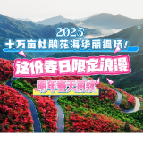 视频丨2025湖南阳明山十万亩杜鹃花海华丽退场 限定浪漫明年再续