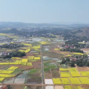 永州：1至4月建成13万亩高标准农田