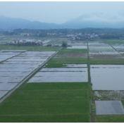 2025年湖南省水稻插秧机比武暨晚稻机械化育秧培训活动在祁阳举行