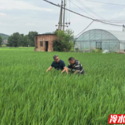 冷水滩：气象服务进田间 助力农业丰产丰收