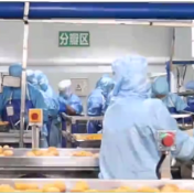 永州外贸企业紧抓机遇 加快推动内外贸一体化