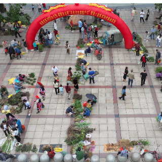 江华：端午药市火 千年瑶药香