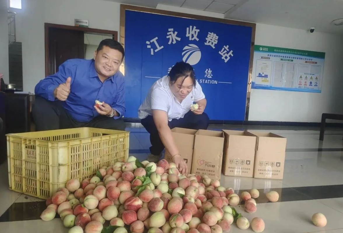 永州高速江永中心收费大站：收费站果园喜丰收，共绘绿色新图景