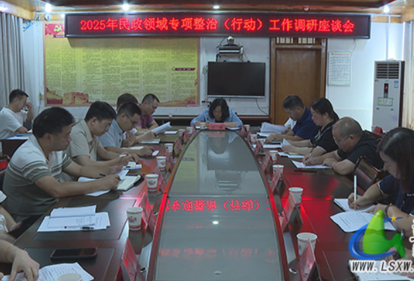 蓝山：邓群调研民政领域专项整治（行动）工作