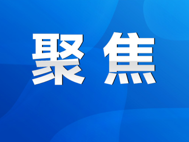 永州市政府党组（扩大）会议专题研究市政府领导班子集中整治问题整改工作