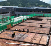 蓝山县：错峰施工战酷暑 工程建设有“凉”方