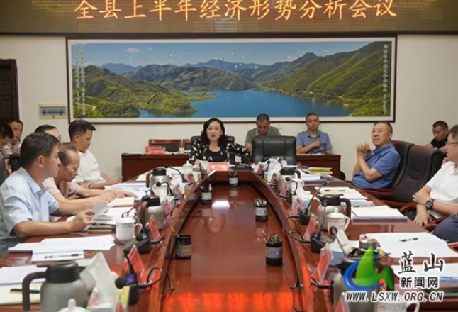 蓝山县上半年经济形势分析会议召开