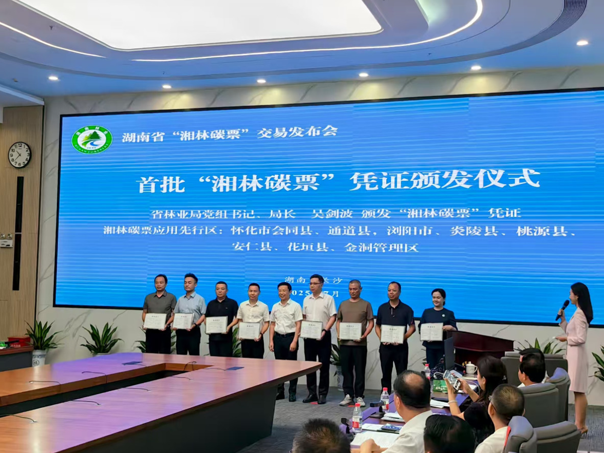 金洞开始“卖碳”了