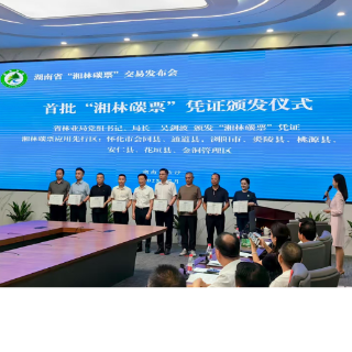 金洞开始“卖碳”了