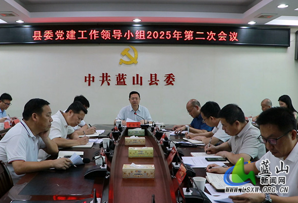 蓝山：龙向洋主持召开县委党建工作领导小组2025年第二次会议