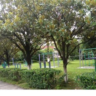 零陵：移步皆风景 举目满眼绿