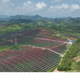 宁远：以绿色引擎双驱动 谱写生态经济新篇章