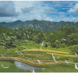 青山伴鸟飞——永州市践行“两山”理念的护鸟答卷