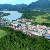 双牌：栋竹笋丰收 直播助力拓宽销路