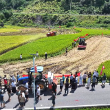 江华：秸秆“绿色革命”实现“变废为宝”