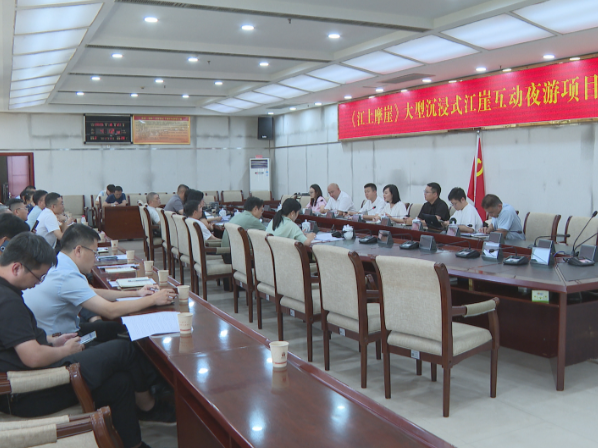 祁阳市召开《江上摩崖》大型沉浸式江崖互动夜游项目方案汇报会
