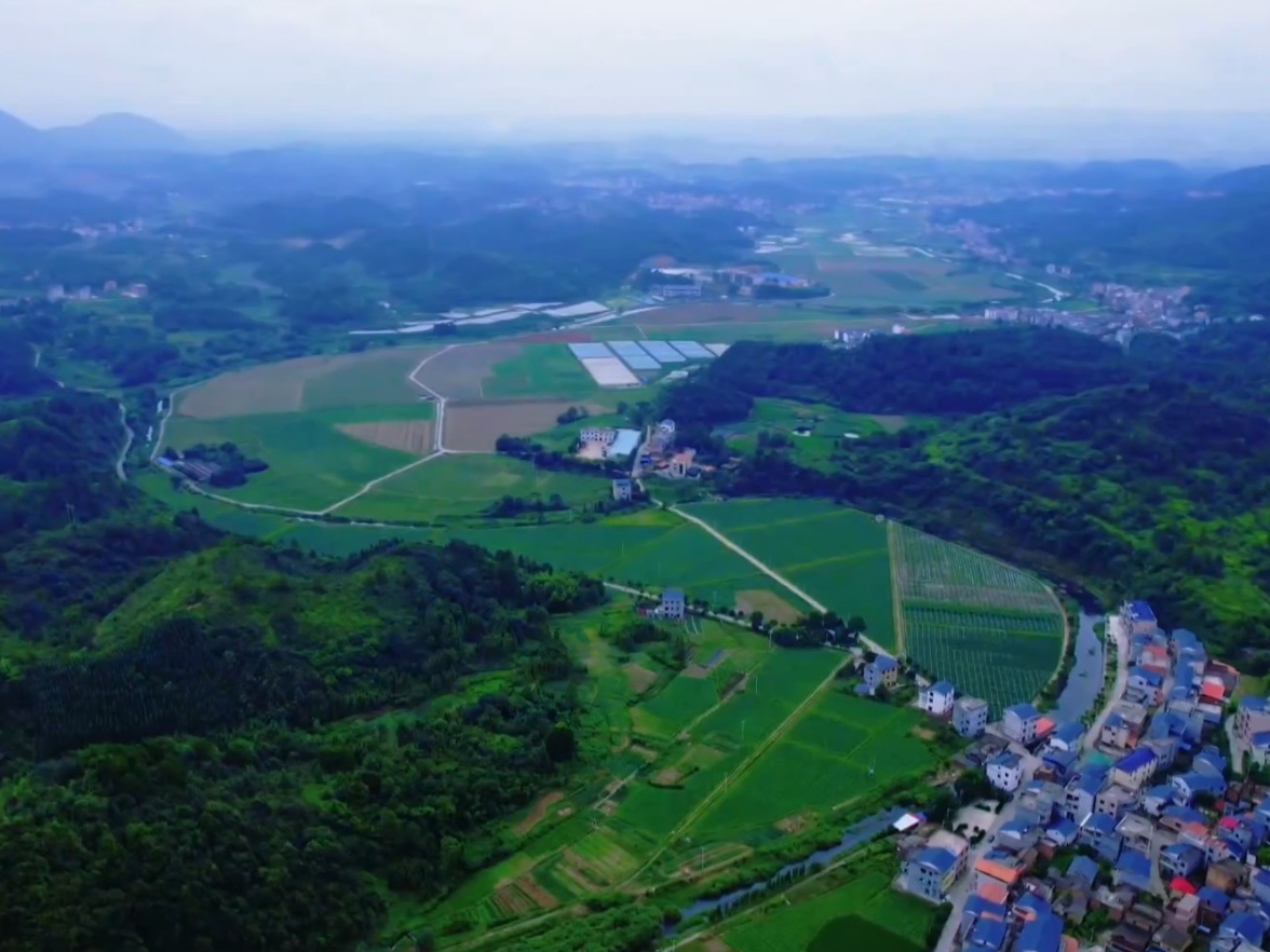 “镇”兴永州丨新田县中山街道：打造湾区“菜篮子” 推动蔬菜产业高质量发展