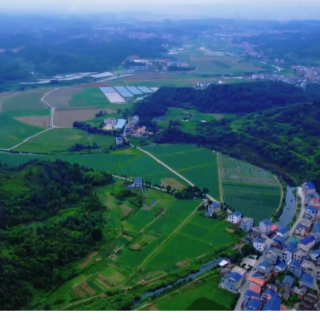 “镇”兴永州丨新田县中山街道：打造湾区“菜篮子” 推动蔬菜产业高质量发展