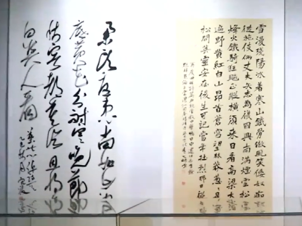 “墨舞潇湘”湖南省书协会员大展（永州展区）开展